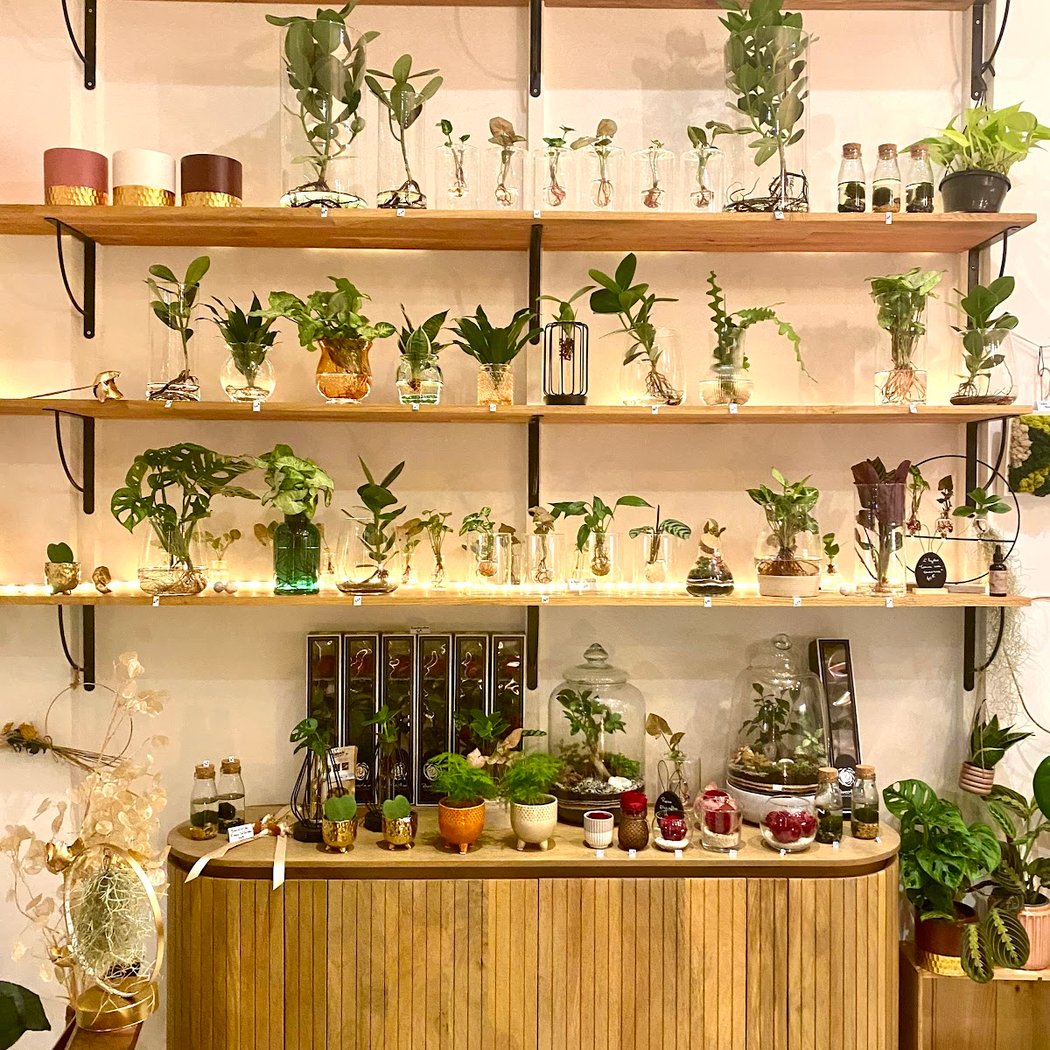 Artemisia Plantes et Déco • Boutique & Ateliers & E-shop 3