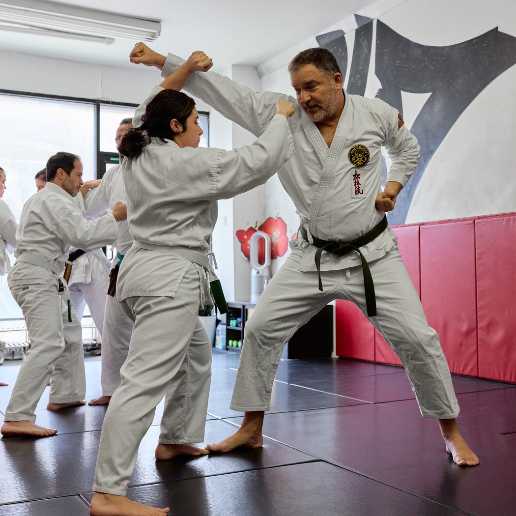 47 Crown Heights Ueshiro Karate 1