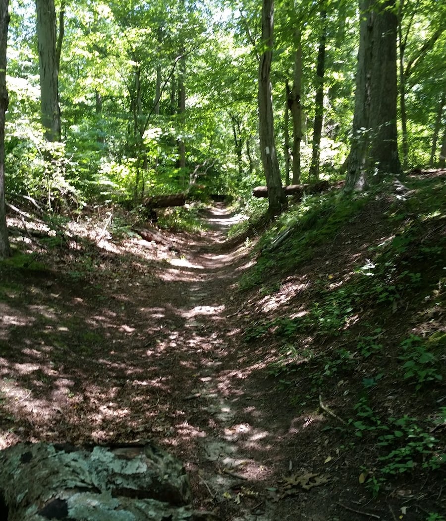 Greenbelt Trail 4