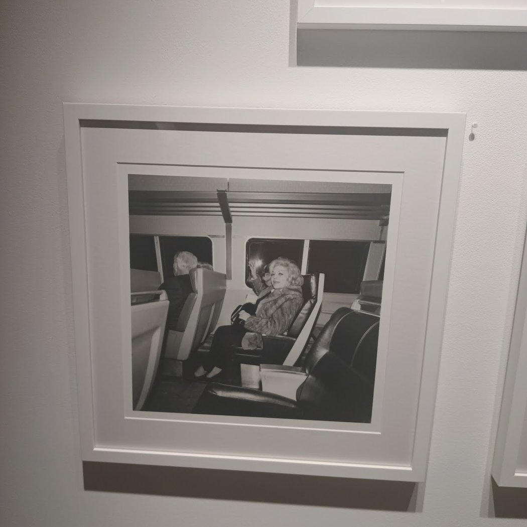 Forms and Fields: Andree Brown, Marilyn Church, Veronica Lawler | Beautiful Collision: Stephen Cimini, Christopher Skura | On the Wall: Joy Nagy - Tree Line 3