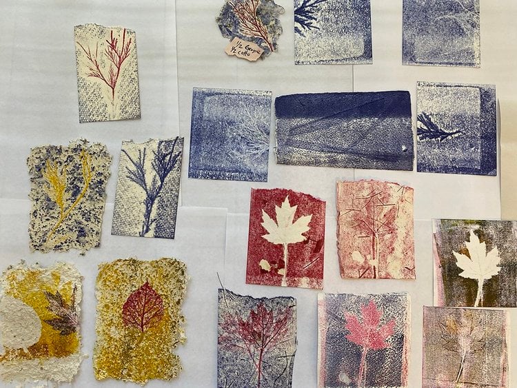 Nature’s Imprint 1