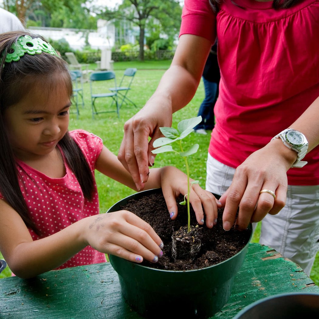 Adopt-a-Plant 1