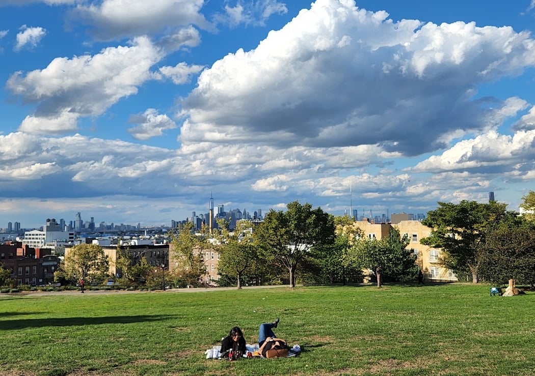 Sunset Park Cleanup with PCR 4