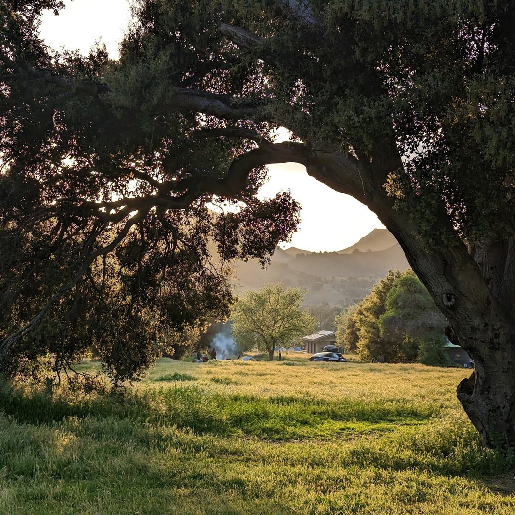 Malibu Creek State Park Night Hike: Hoots, Howls, and Night Sounds