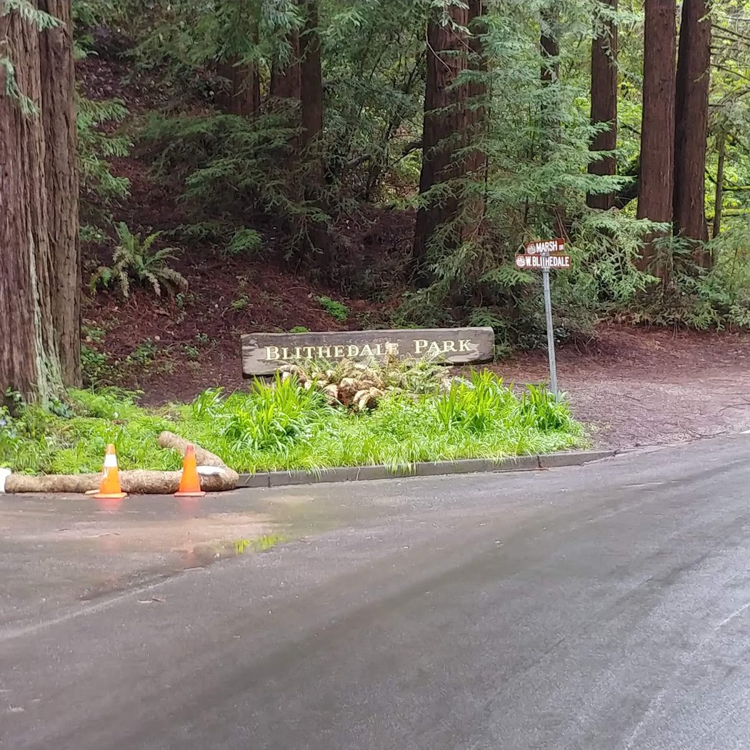 Blithedale Summit Trailhead 3