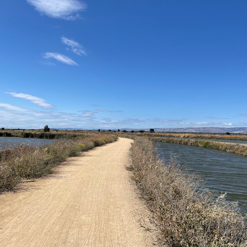 Sunnyvale Bay Trail 3