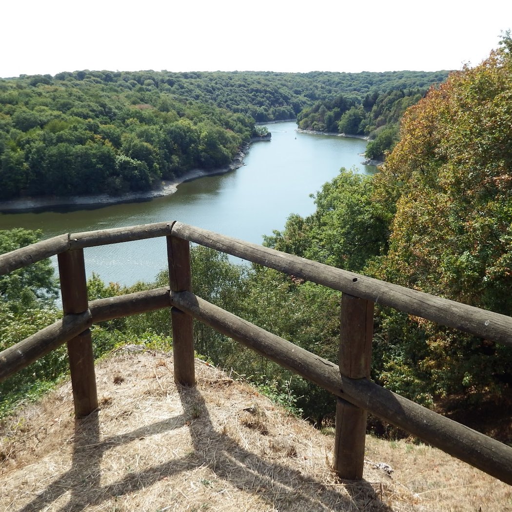 Forêt Domaniale de Mervent-Vouvant 3