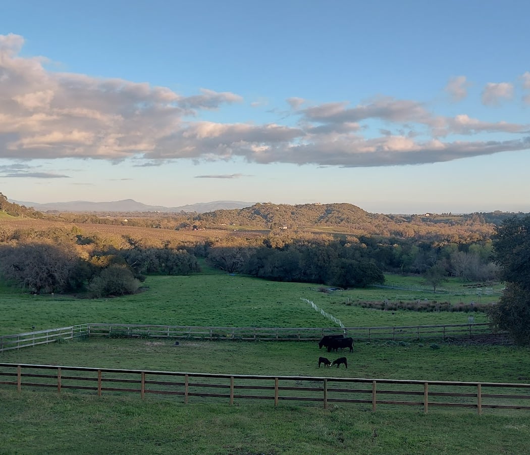 Shone Farm Holiday Sale 2