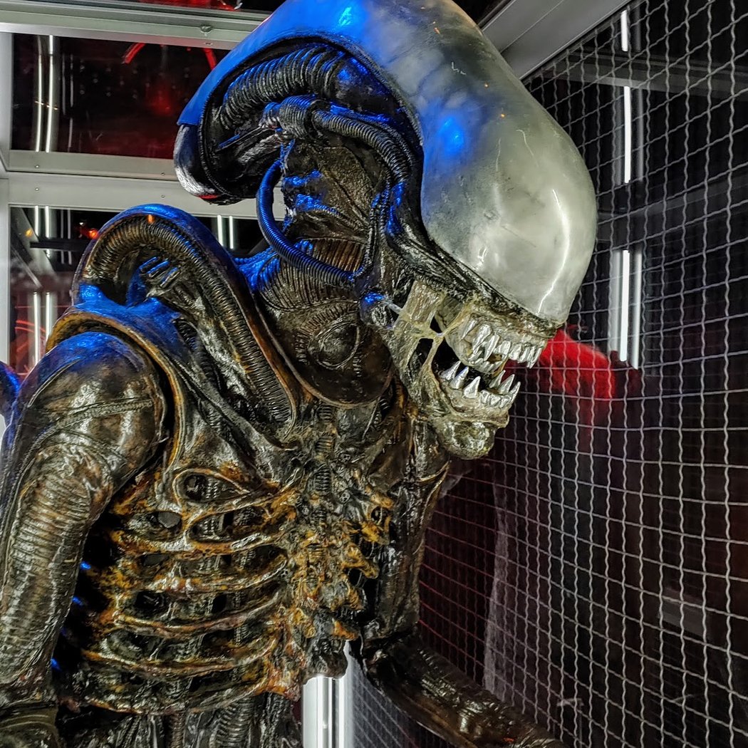 Museum of Pop Culture 1