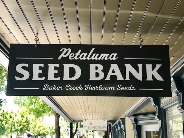 Seed Bank 2