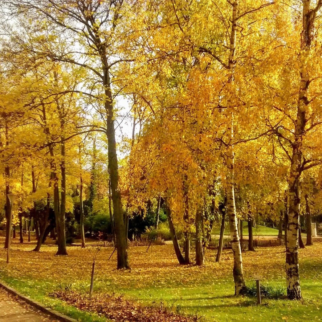 Parc de la Mairie 1