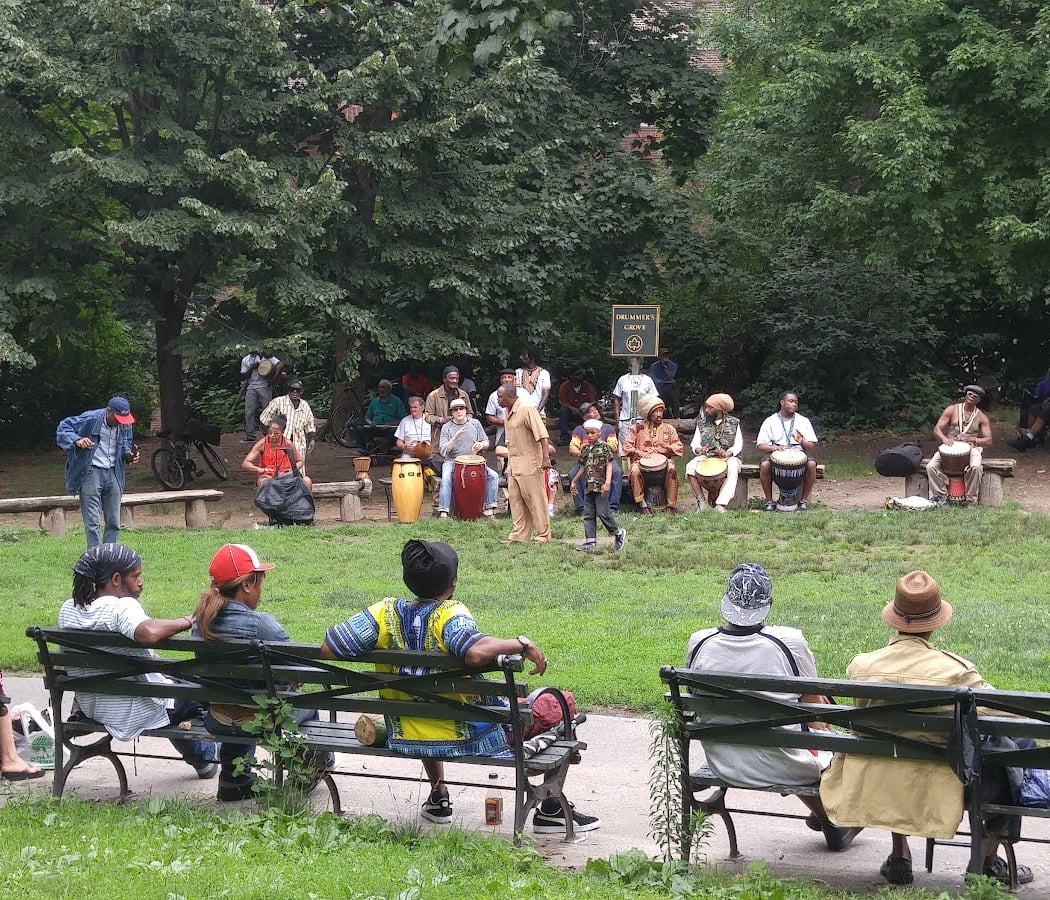 Drummer's Grove 2