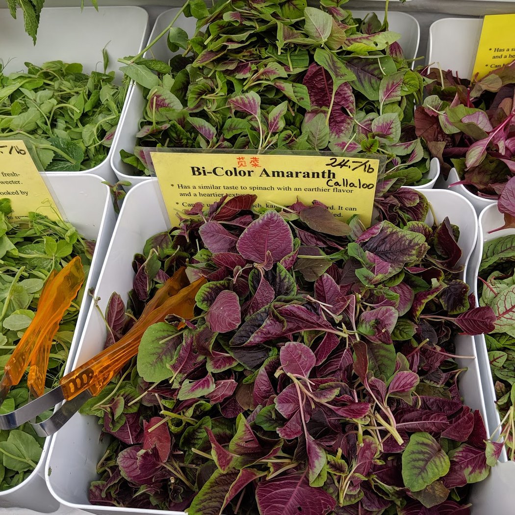 Tribeca Greenmarket 4