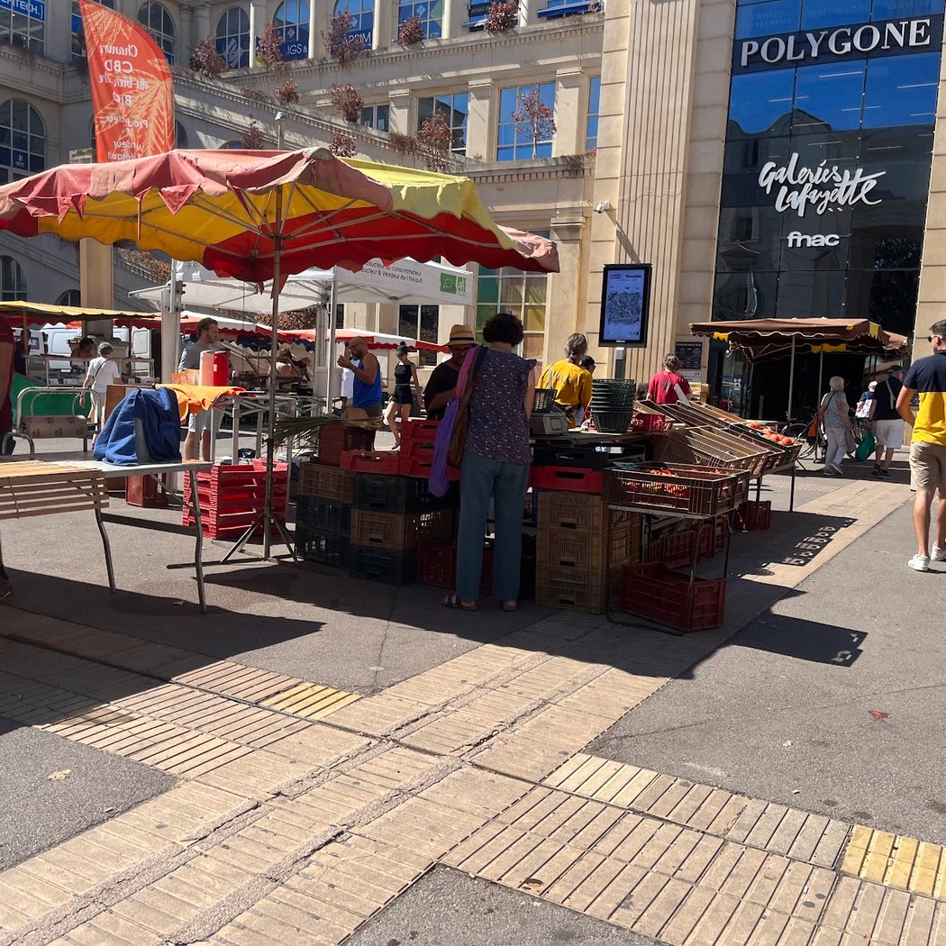 The farmer's market Antigone 2