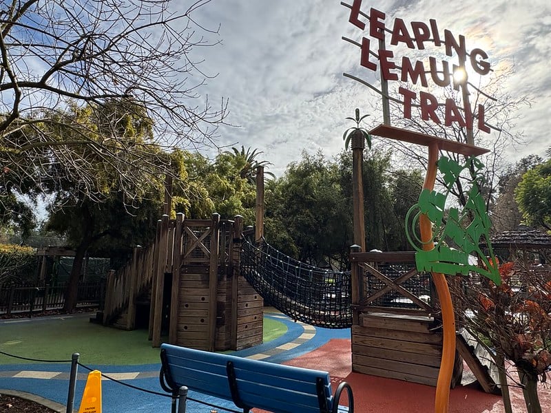 Leaping Lemur Cafe 1