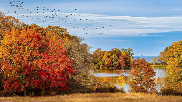 Caumsett State Historic Park Preserve 1