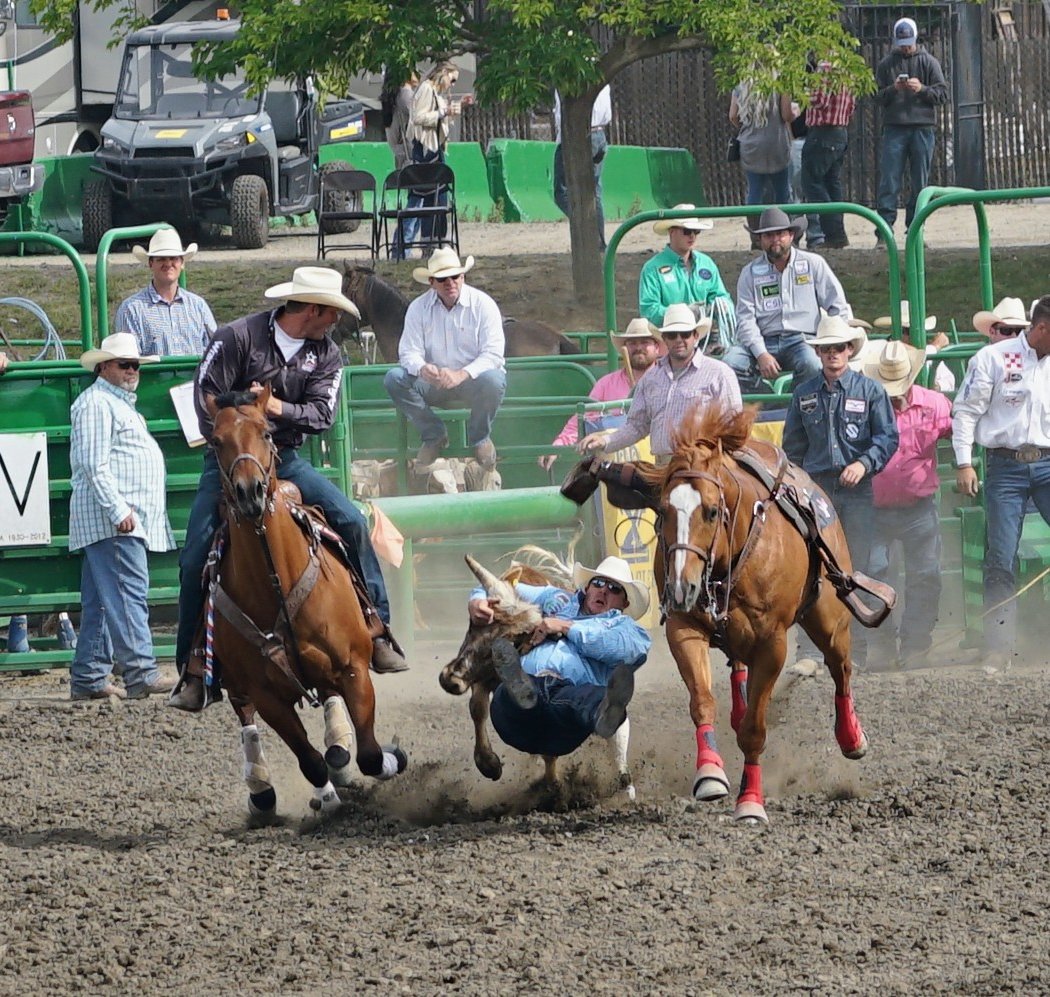 Livermore Rodeo Arena 1