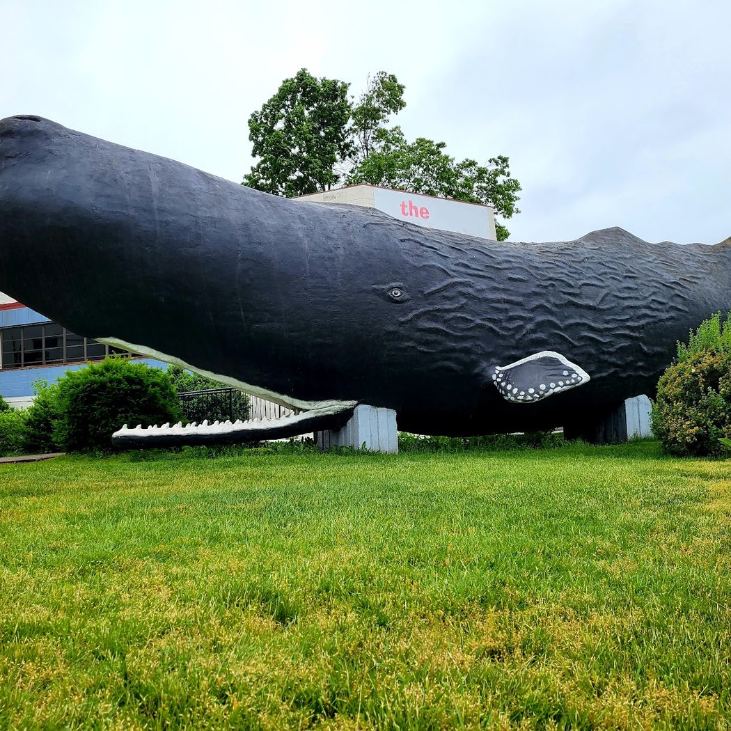The Children's Museum 2