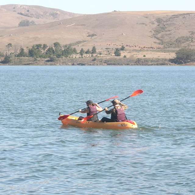 Tomales Point 3