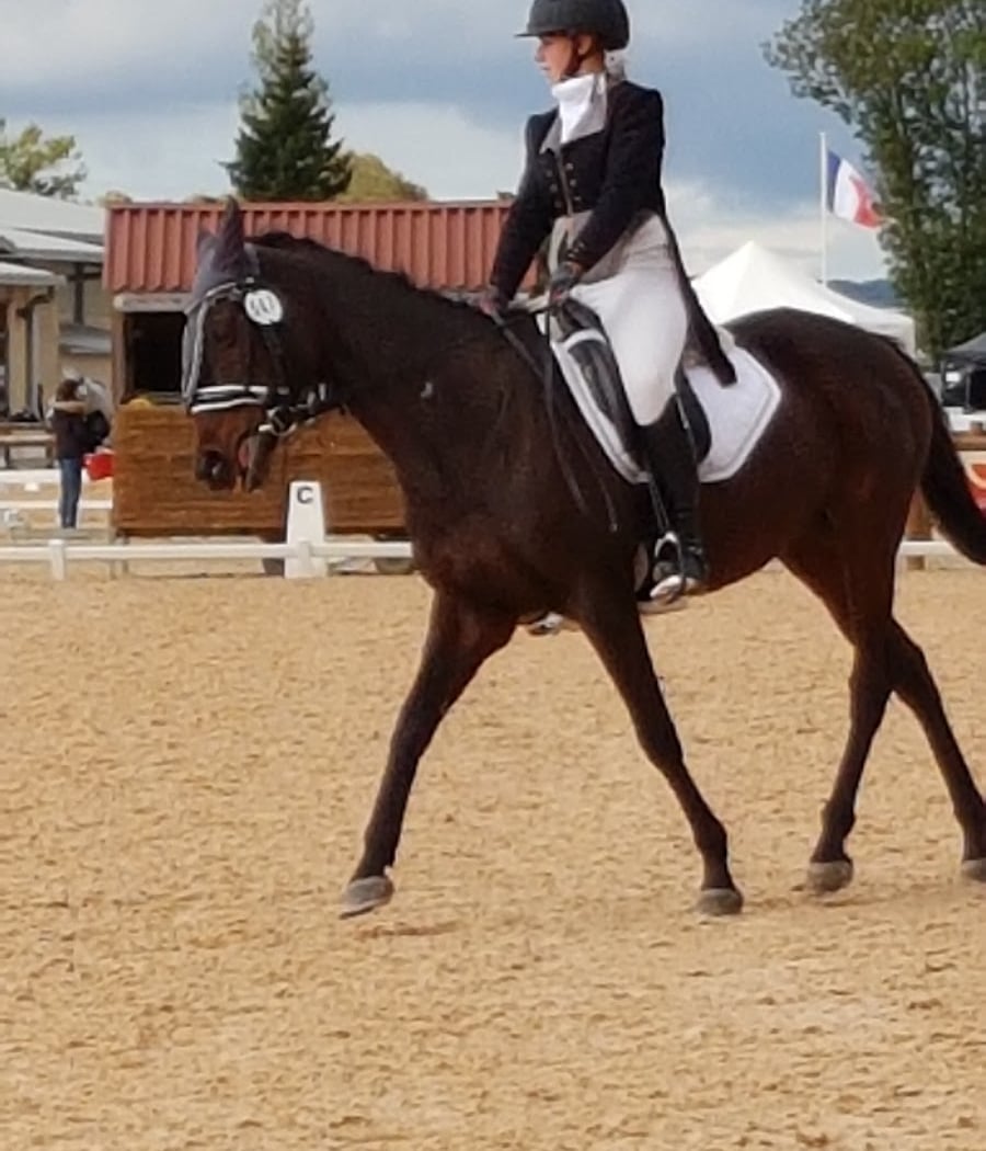 Parc Du Cheval Rhône-Alpes 2