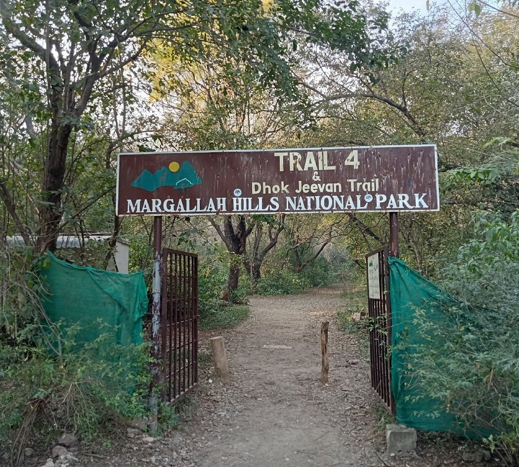 IRU Thursday Trail4 Run/Hike 4