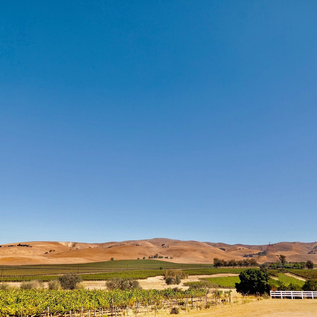 Vineyard View Events 2
