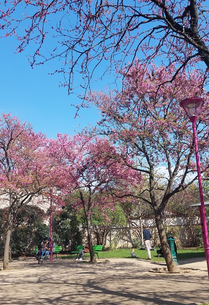Square Henri Cadiou 3