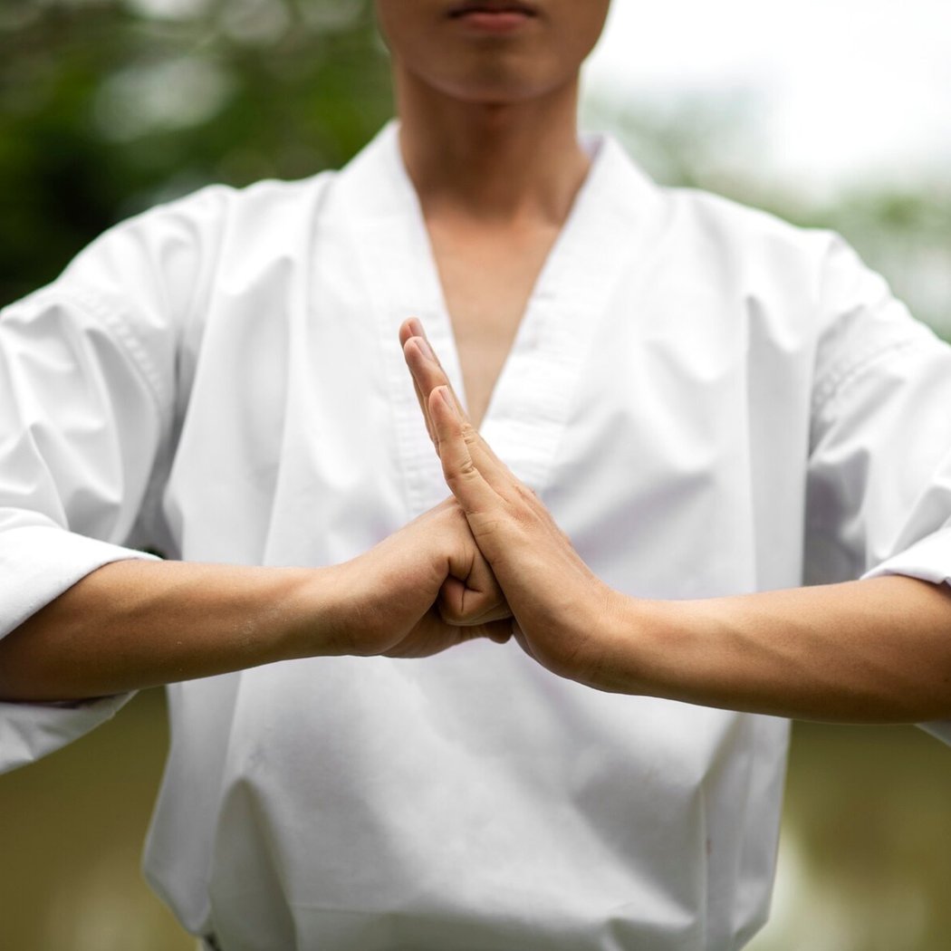 Martial Arts Festival 2025 1