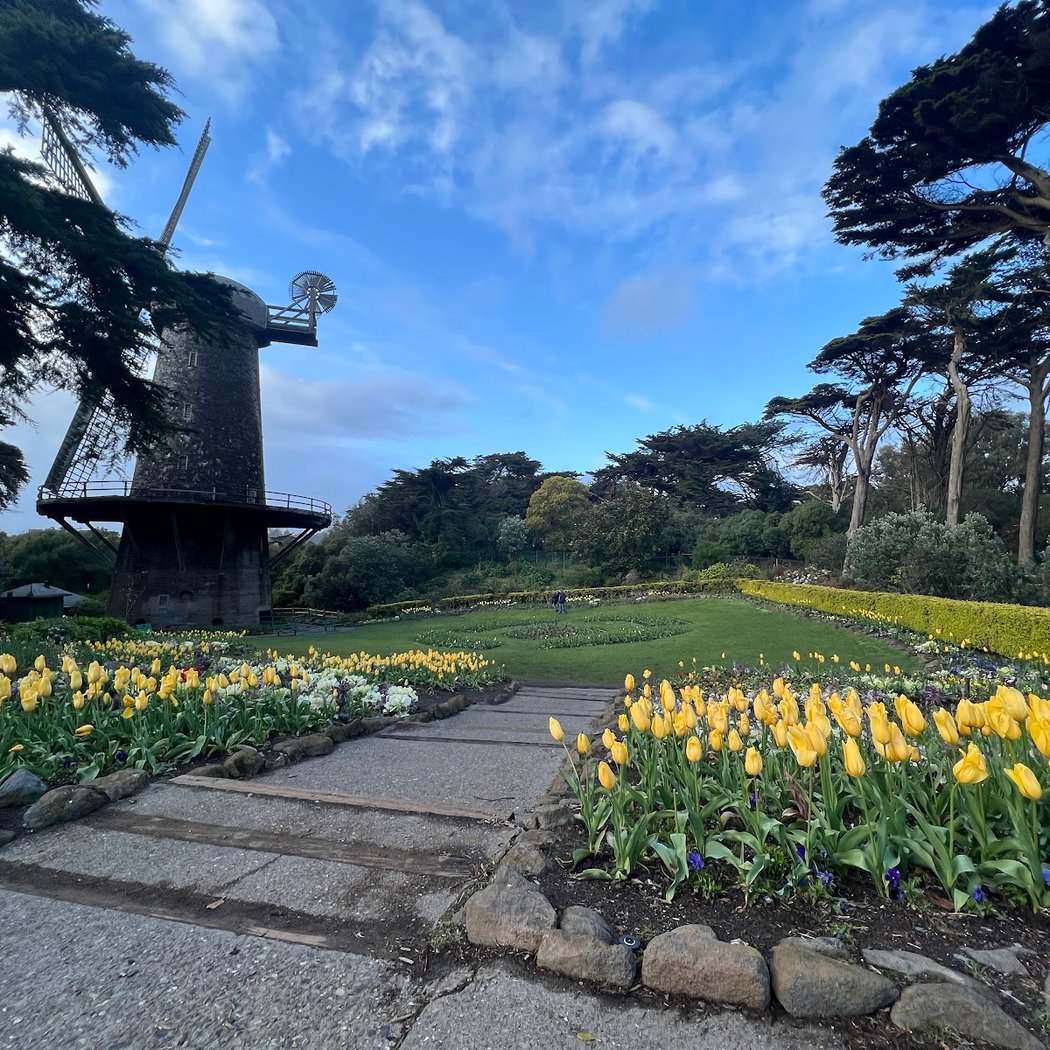 Golden Gate Park: West EndBreakers, Old Trains & Windmills! Tour 1