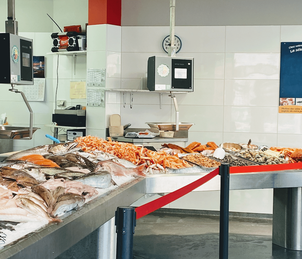 Le loup, le homard et la crevette 3