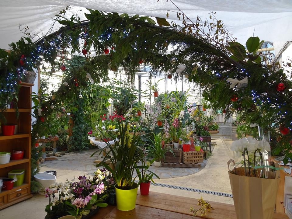L'Orchidium 3