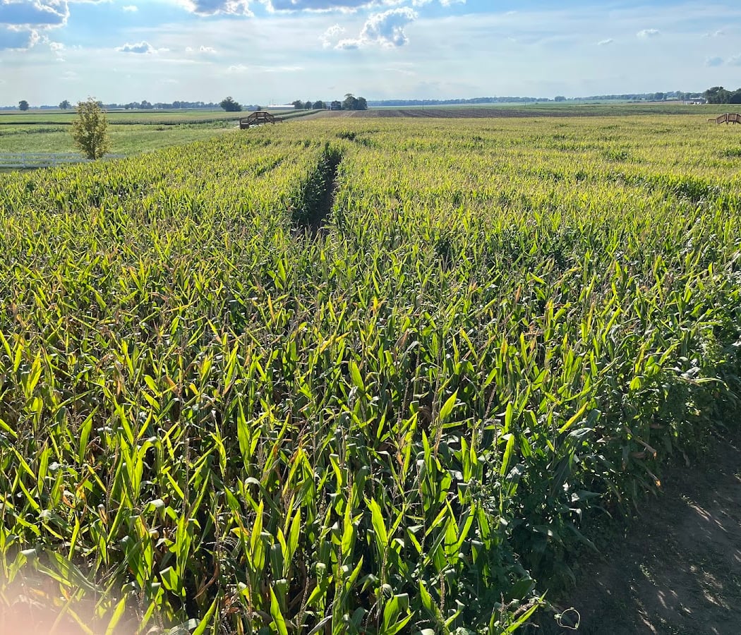Farmland Activities 3