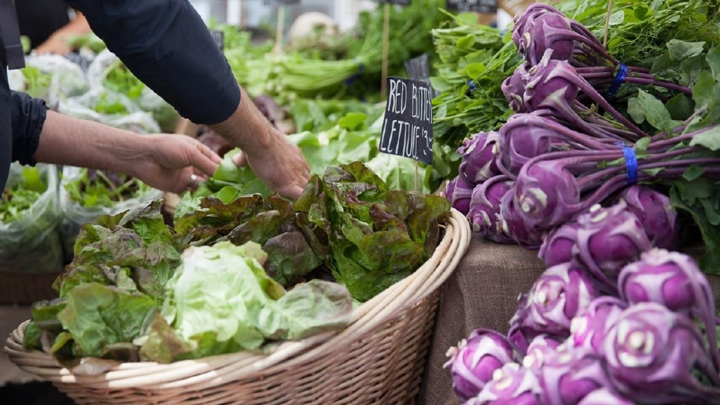 Visit the University District Farmers Market