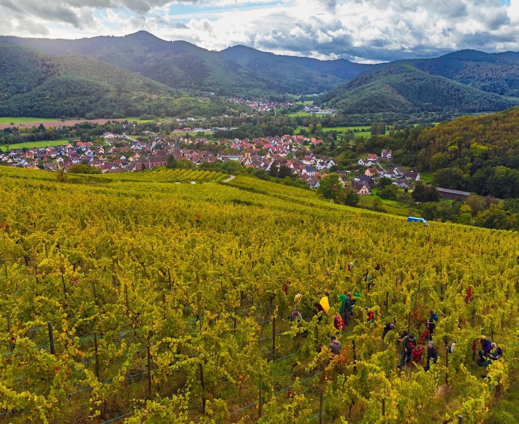 Apéros du Vigneron 3