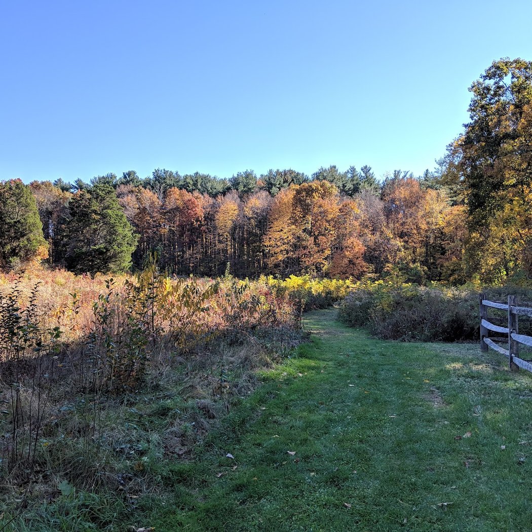 Red Cote Preserve 1