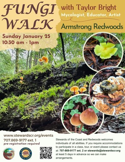Fungus Education Walk 1