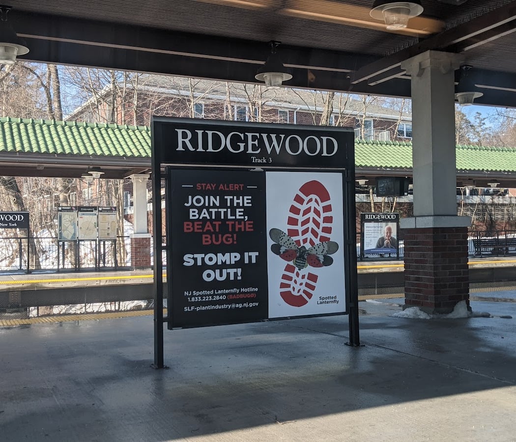 Ridgewood 3