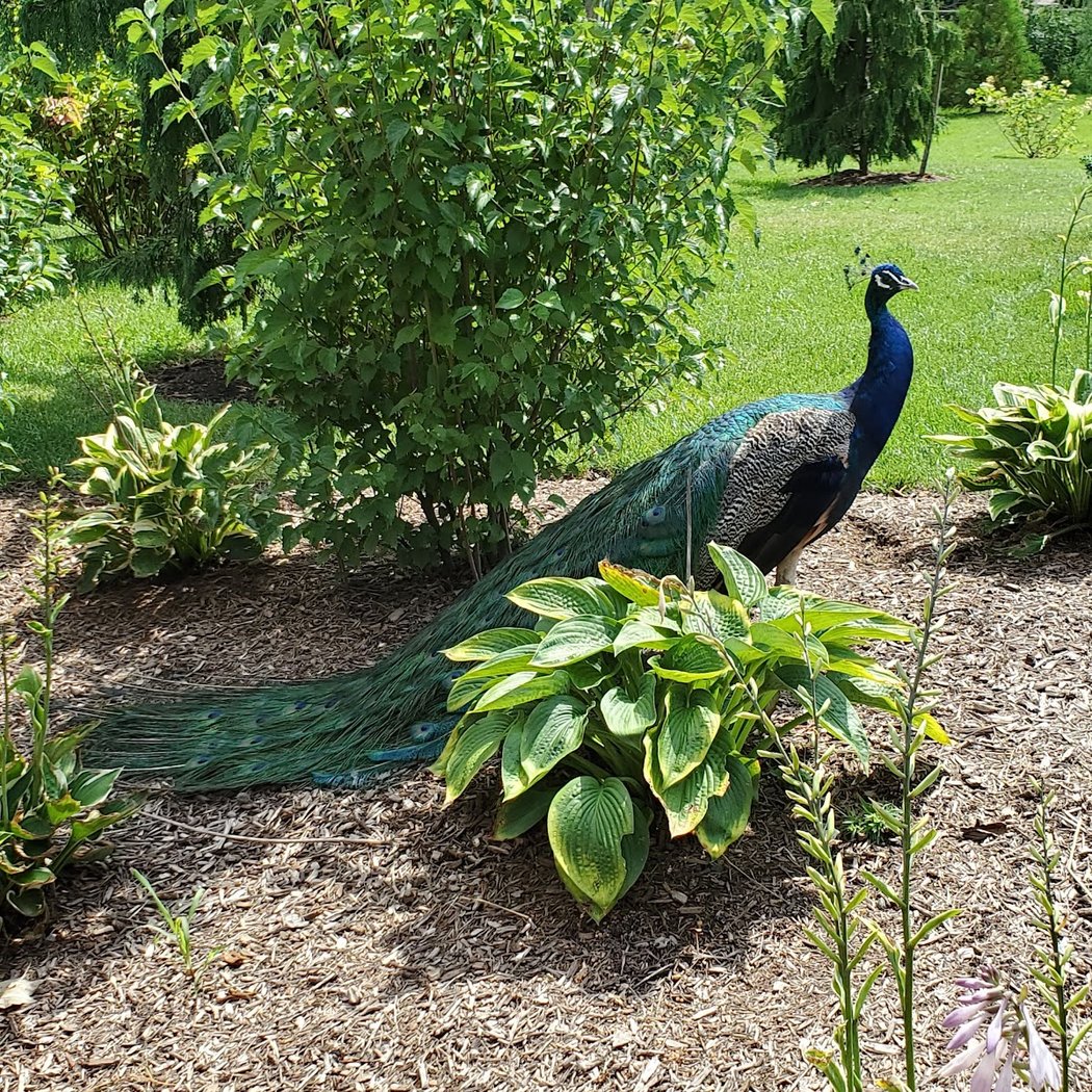 Family Nature Club 2