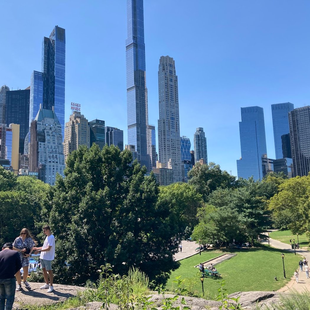 Ride in Central Park 2