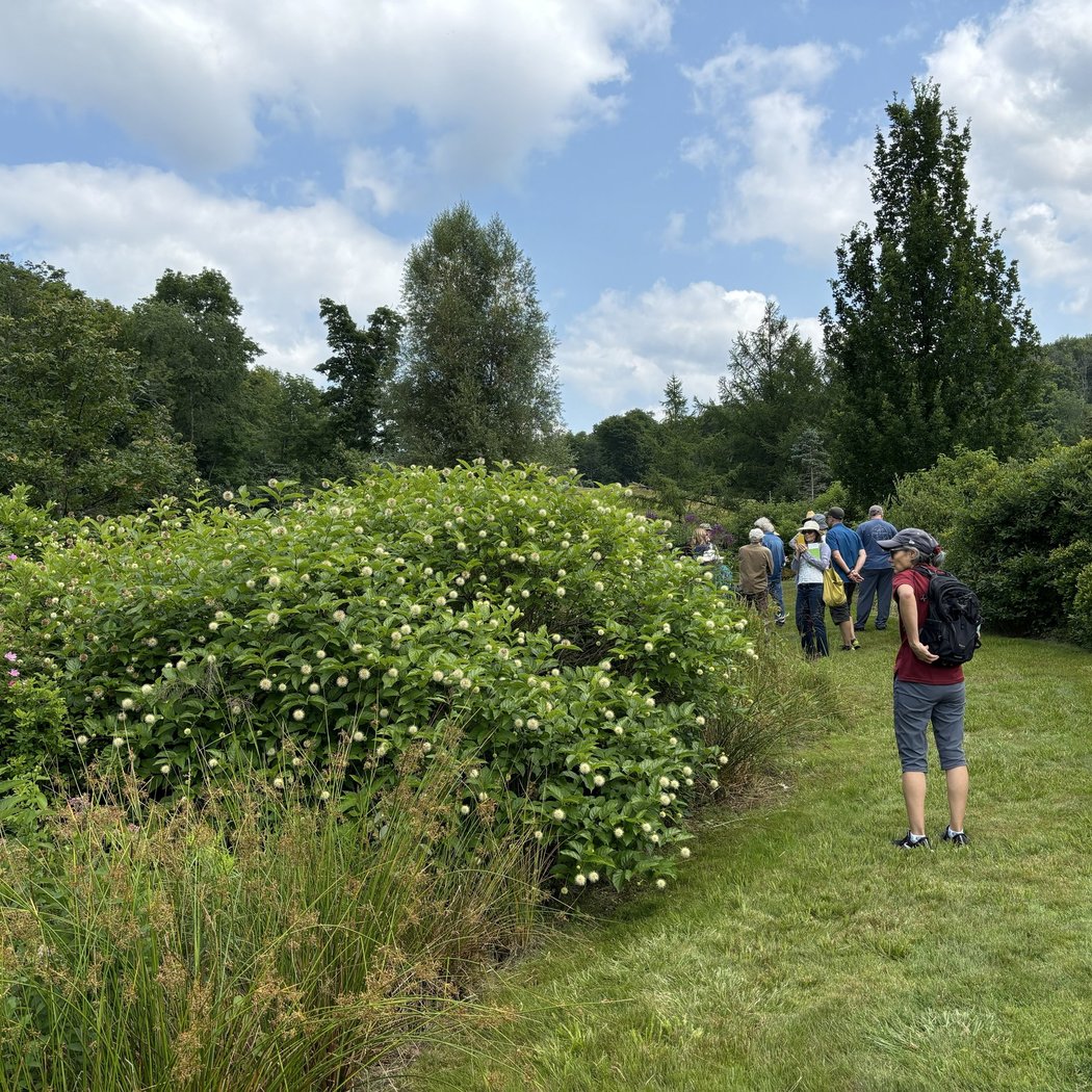 Tour Mountain Top Arboretum 1