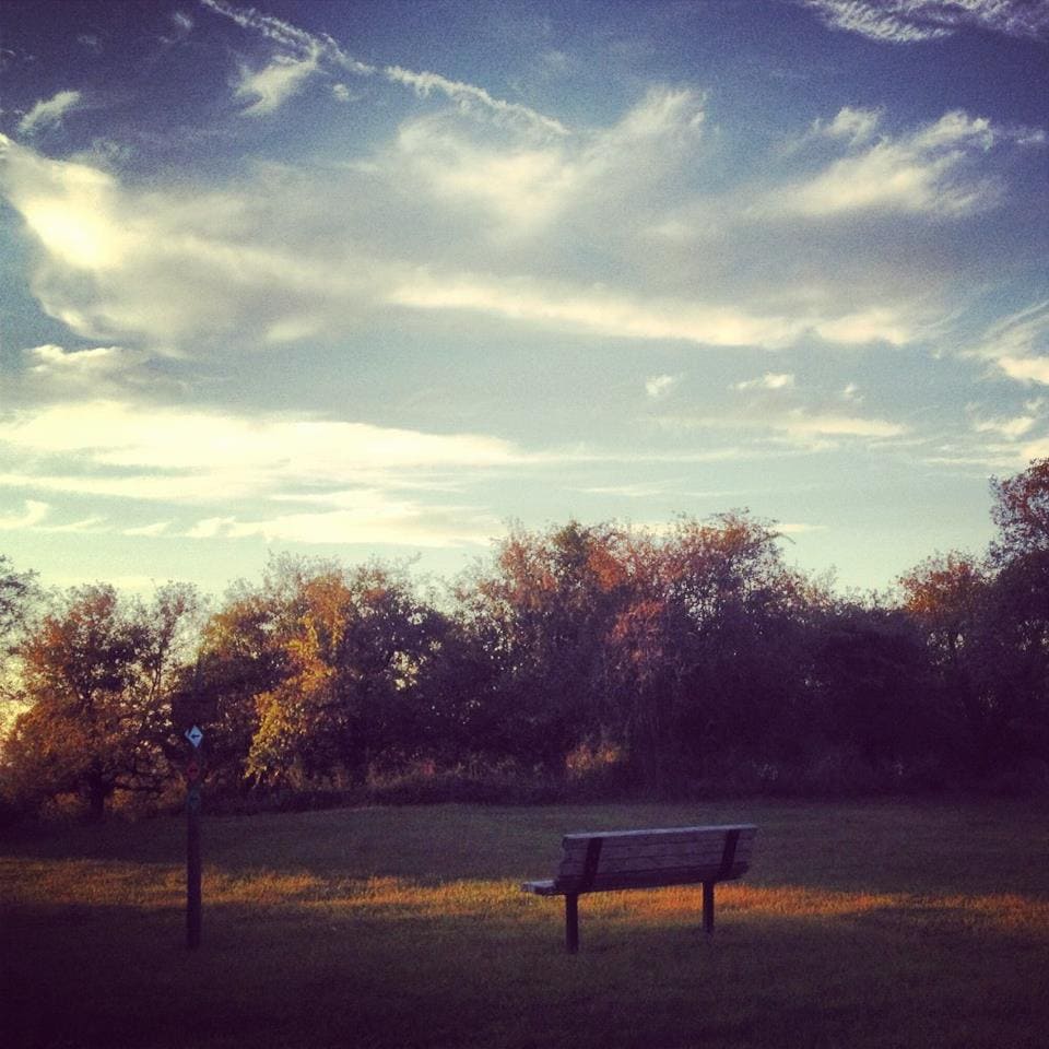 Peach Hill Park 3