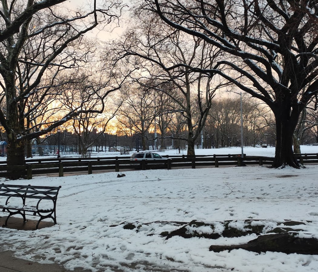 Crotona Park Race 2026 3