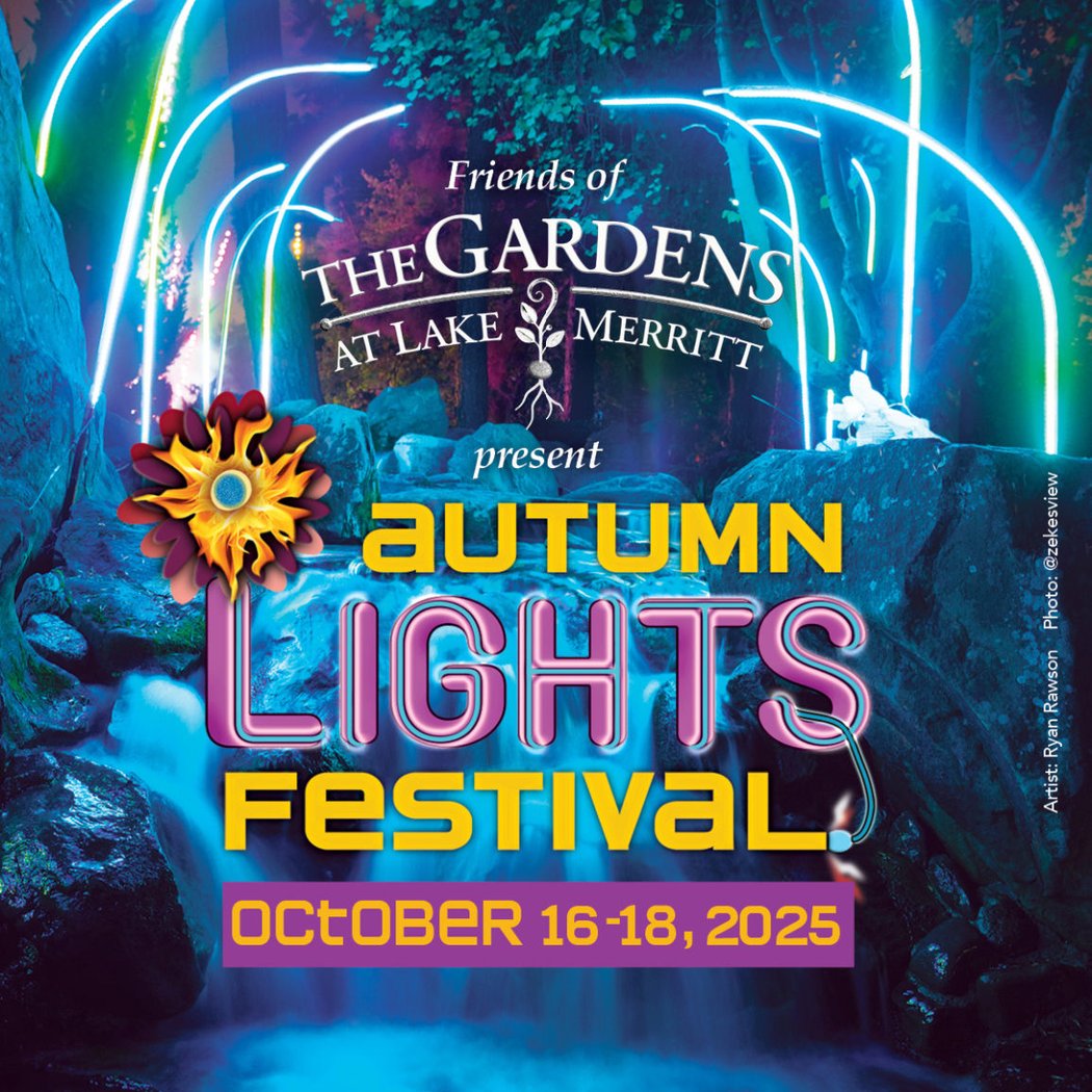 Autumn Lights Festival 1