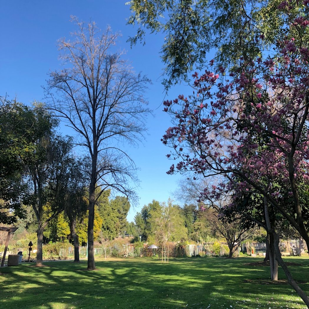 Sepulveda Garden Center 2