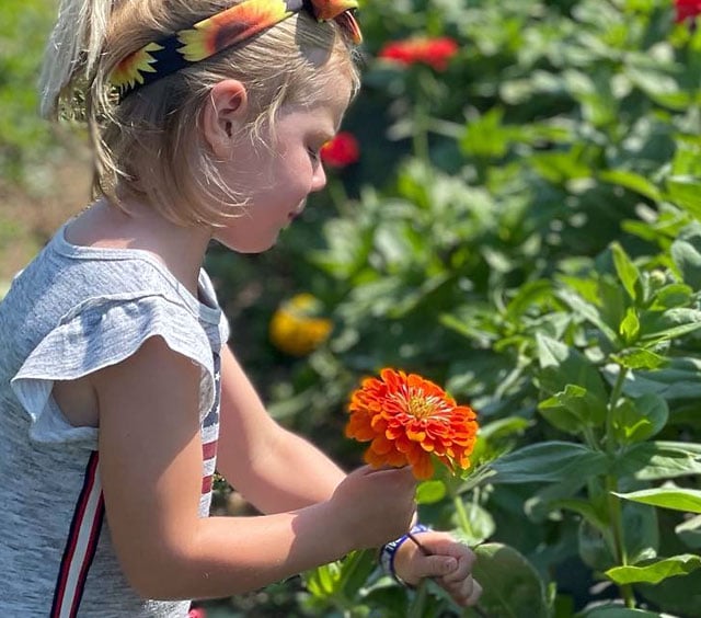 U-Pick Flowers 3