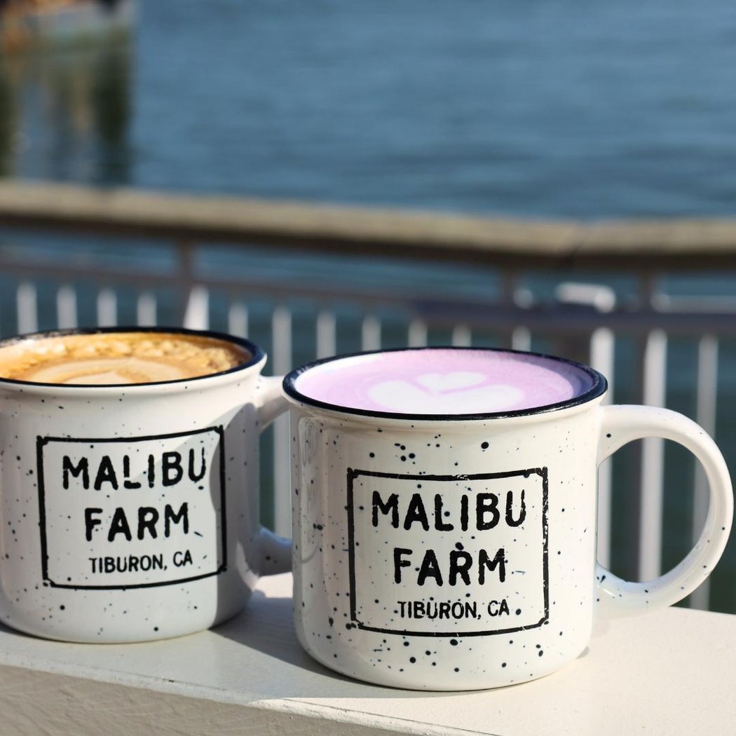 Malibu Farm Tiburon 2