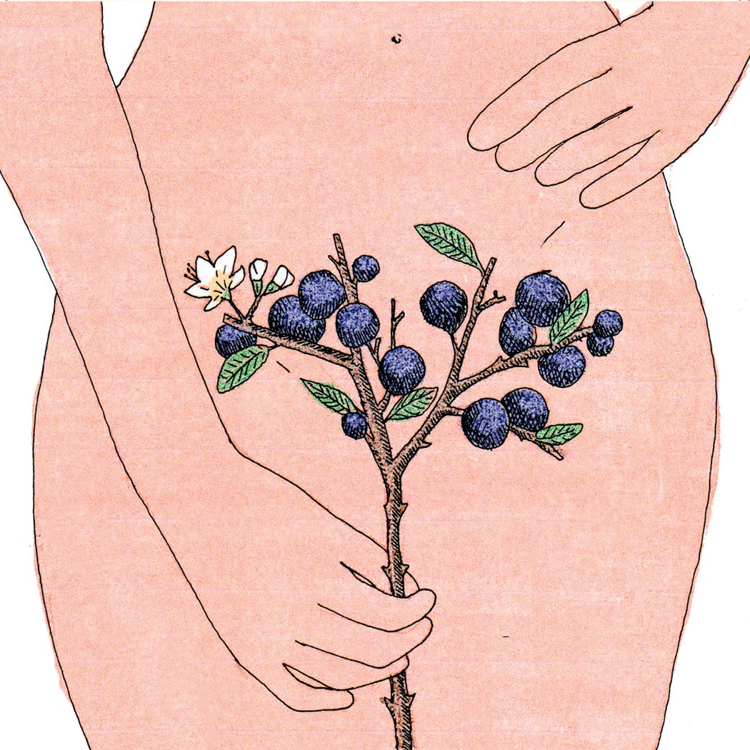 Marion Fayolle - Petit fruit 1