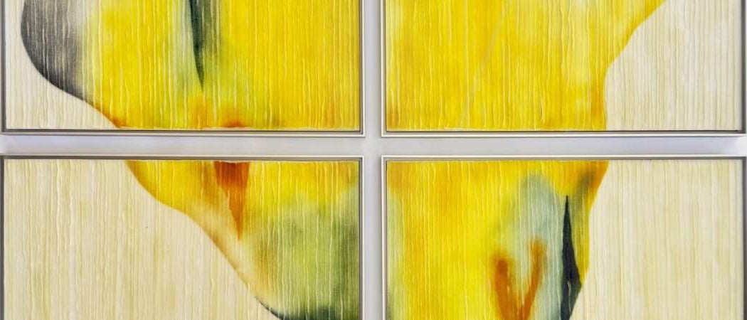 Open Thresholds, a Malina Cipleu Solo Exhibit 3