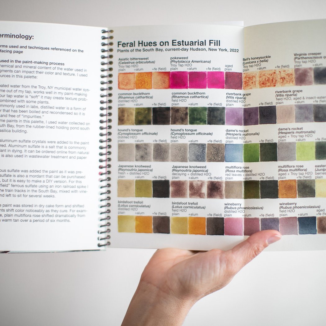 Foraging and Paint-Making Workshop 2