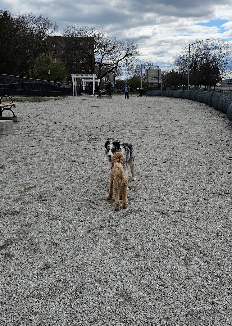 Owl's Head Park Dog Run 1